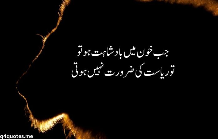 attitude poetry in urdu 2 lines text